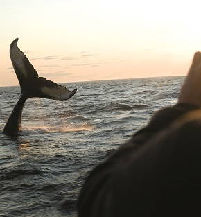 scenic maritime canada holiday